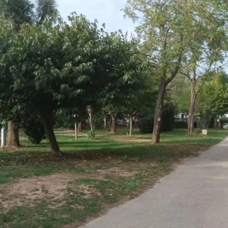 Sur Pilotis - Terrasse - 7 Personnes - Cuisine Equipee - Api-1-52-1512 אתר קמפינג